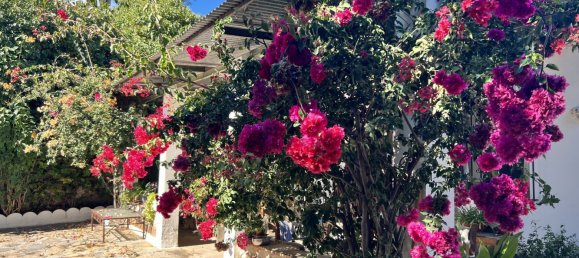 3 bedrooms House in Estepona, Spain No. 136157 11