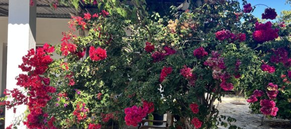 3 bedrooms House in Estepona, Spain No. 136157 22