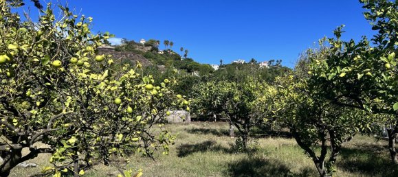 3 bedrooms House in Estepona, Spain No. 136157 3