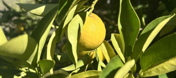 3 bedrooms House in Estepona, Spain No. 136157 2