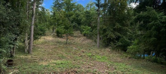 Land in Enzkreis, Germany No. 248298 2