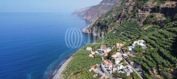 Grundstück in Ponta do Sol, Portugal 14972m², Nr. 309523 4