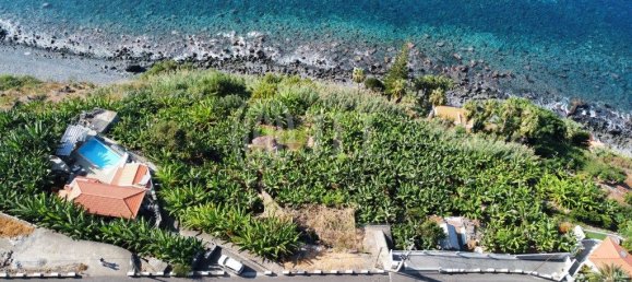 Grundstück in Ponta do Sol, Portugal 14972m², Nr. 309523 6