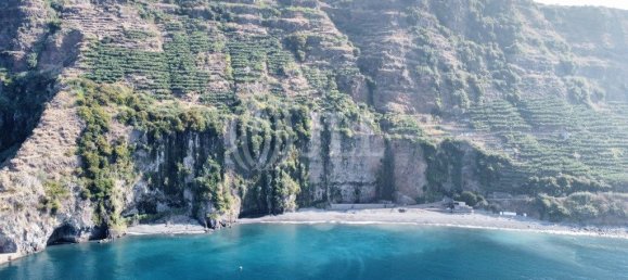 Grundstück in Ponta do Sol, Portugal 14972m², Nr. 309523 12