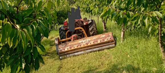  قطعة أرض في Verona, Italy 5460متر مربع رقم 298543 2