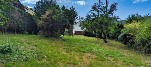 Casa de 1 dormitorio en Birkenfeld, Germany No. 199060 13