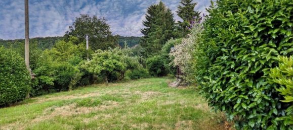 Casa de 1 dormitorio en Birkenfeld, Germany No. 199060 12