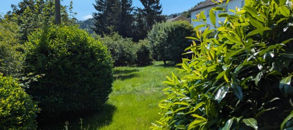 Casa de 1 dormitorio en Birkenfeld, Germany No. 199060 11