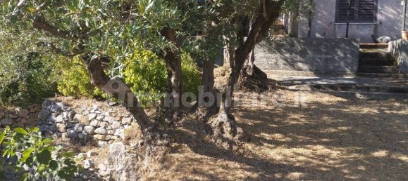 Villa T4 em Rivello, Italy N.º 31849 11