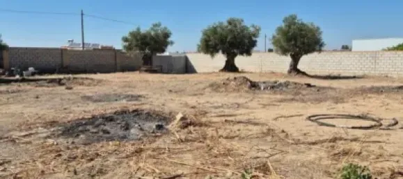  Land in El Puerto de Santa Maria, Spain No. 170648 4