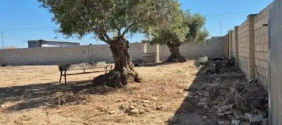  Land in El Puerto de Santa Maria, Spain No. 170648 10