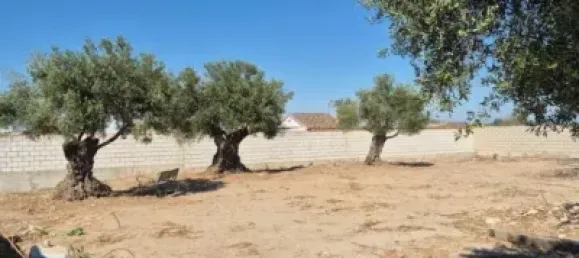  Land in El Puerto de Santa Maria, Spain No. 170648 7