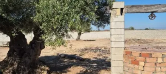  Land in El Puerto de Santa Maria, Spain No. 170648 13