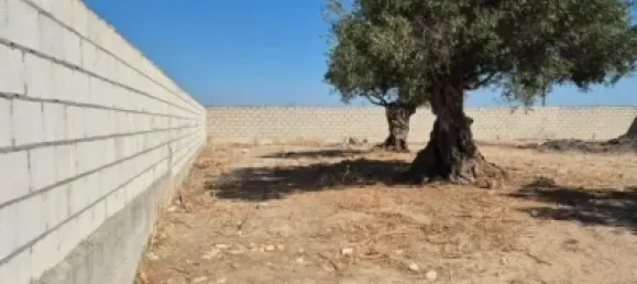  Land in El Puerto de Santa Maria, Spain No. 170648 2