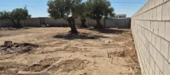  Land in El Puerto de Santa Maria, Spain No. 170648 3