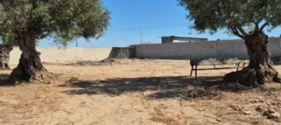  Land in El Puerto de Santa Maria, Spain No. 170648 5