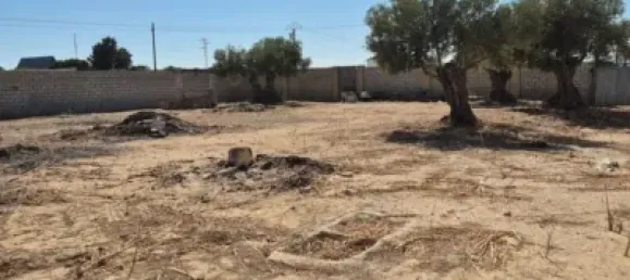  Land in El Puerto de Santa Maria, Spain No. 170648 6