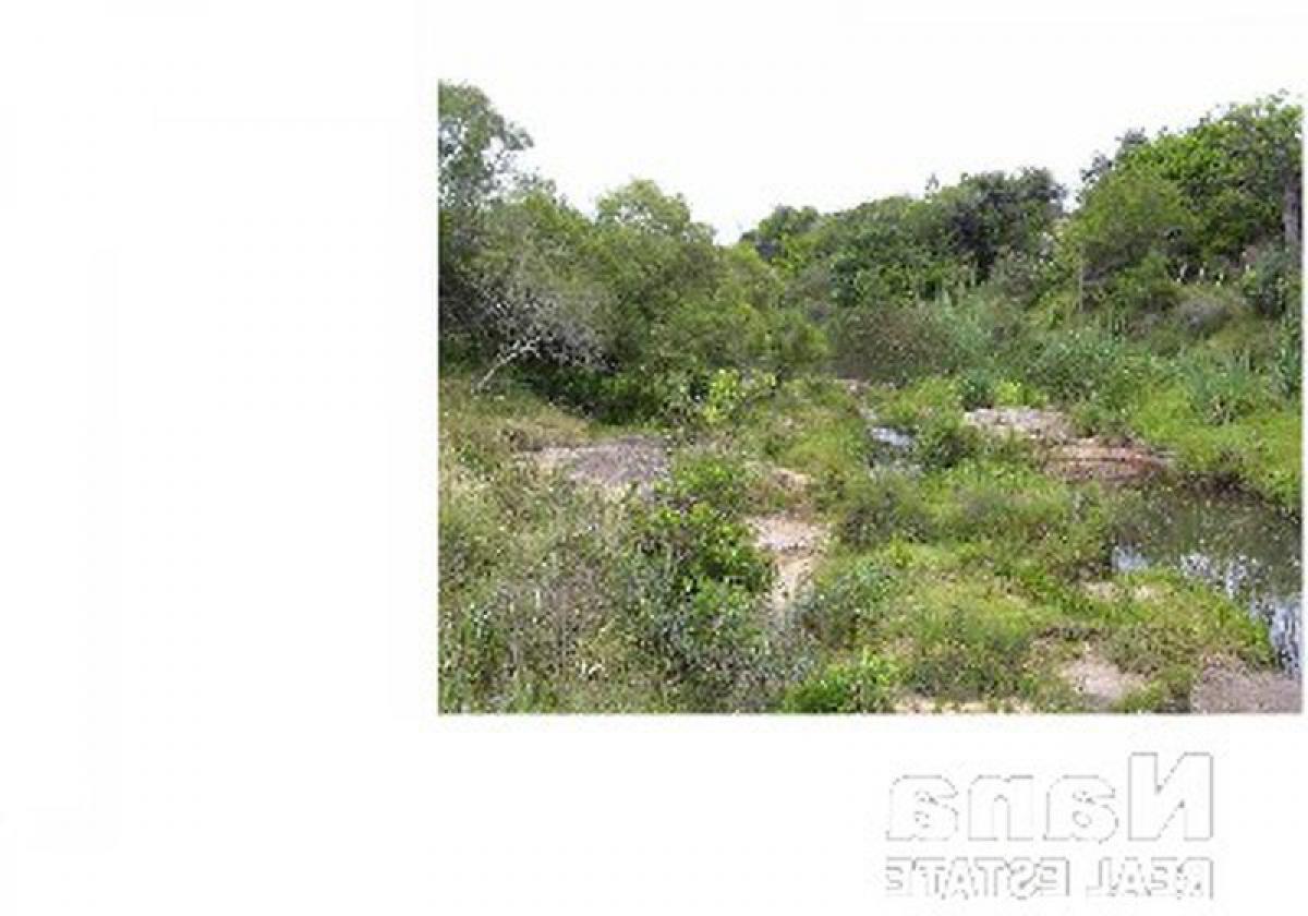 12m² Farm in Maldonado, Uruguay No. 15569