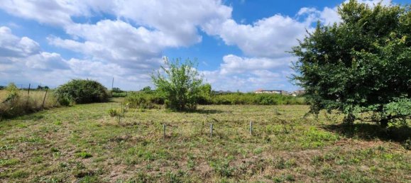 8700m² Land in Macerata Campania, Italy No. 27260 3