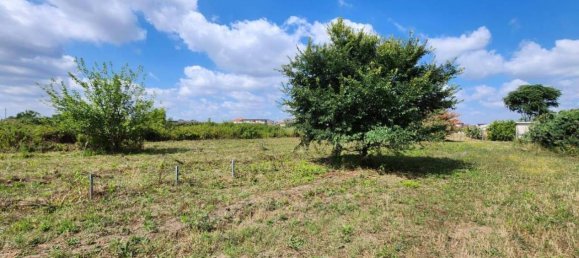 8700m² Land in Macerata Campania, Italy No. 27260 5