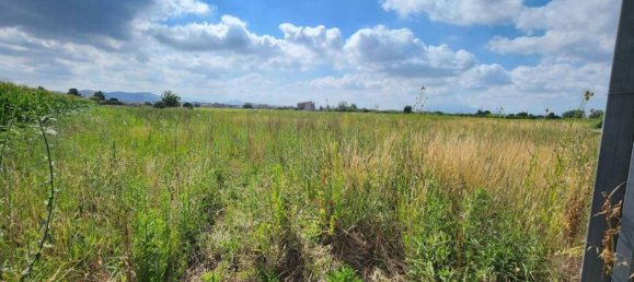 8700m² Land in Macerata Campania, Italy No. 27260 4