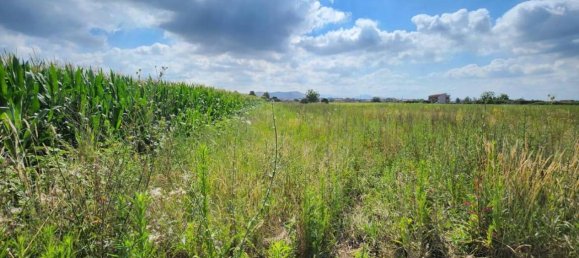 8700m² Land in Macerata Campania, Italy No. 27260 8
