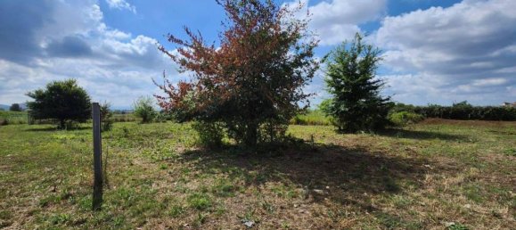8700m² Land in Macerata Campania, Italy No. 27260 2