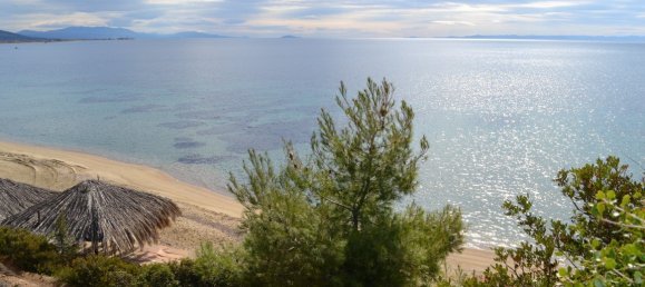 4913m² Hotel in Polygyros, Greece No. 6431 4