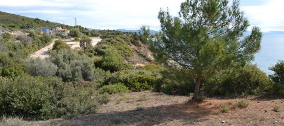 4913m² Hotel in Polygyros, Greece No. 6431 2