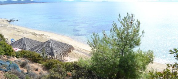 4913m² Hotel in Polygyros, Greece No. 6431 3