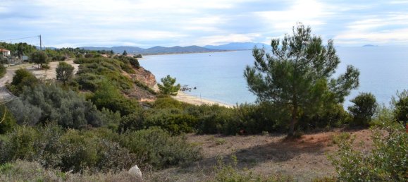 4913m² Hotel in Polygyros, Greece No. 6431 5