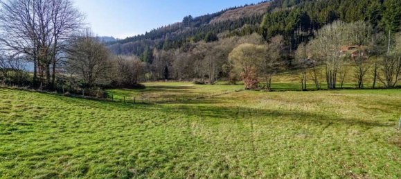 مقهى / مطعم في Bergstrase, Germany 445متر مربع رقم 368010 6