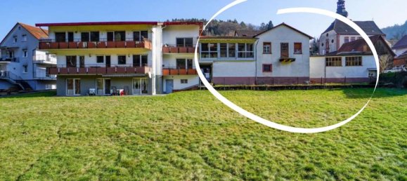 مقهى / مطعم في Bergstrase, Germany 445متر مربع رقم 368010 5