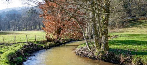 مقهى / مطعم في Bergstrase, Germany 445متر مربع رقم 368010 4