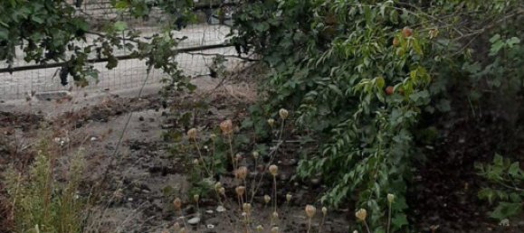 6-Zimmer Haus in Sezzadio, Italy, Nr. 47018 6