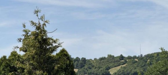 Квартира с 2 спальнями в Майнц-Бинген, Германия № 263550 11