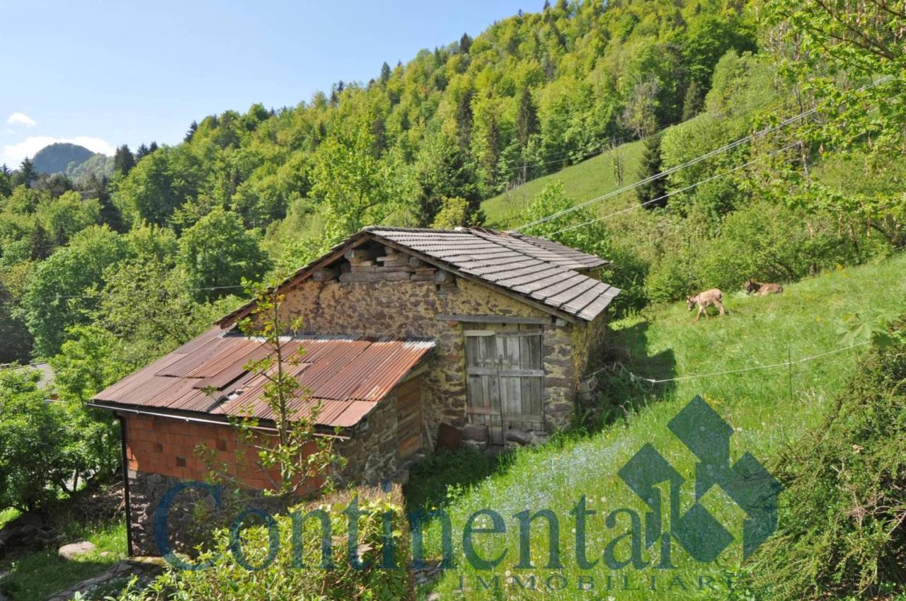 3 rooms House in Cusio, Italy No. 172875