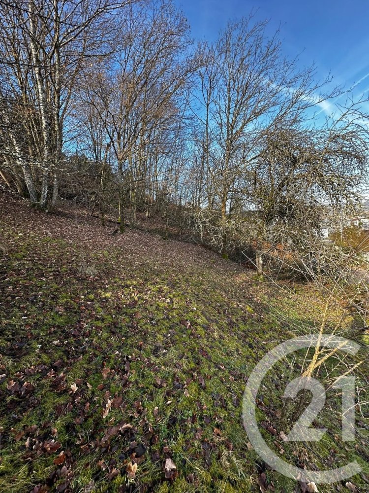 Terreno en Remiremont, France No. 90632