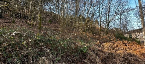 Terreno en Remiremont, France No. 90632 2