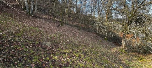 Terreno en Remiremont, France No. 90632 3