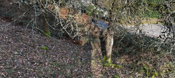 Terreno en Remiremont, France No. 90632 4