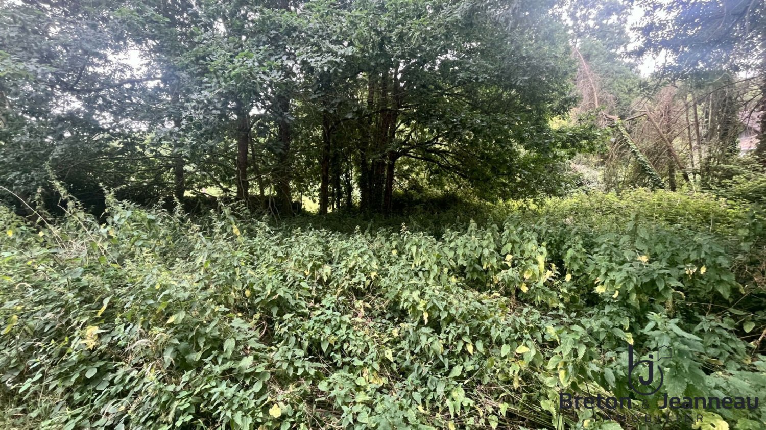 Terrain à Saint-Jean-sur-Mayenne, France No. 361935