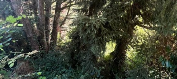 Terrain à Saint-Jean-sur-Mayenne, France No. 361935 2