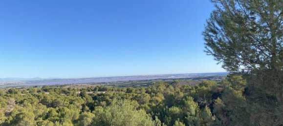 5 bedrooms Villa in San Miguel de Salinas, Spain No. 184737 41