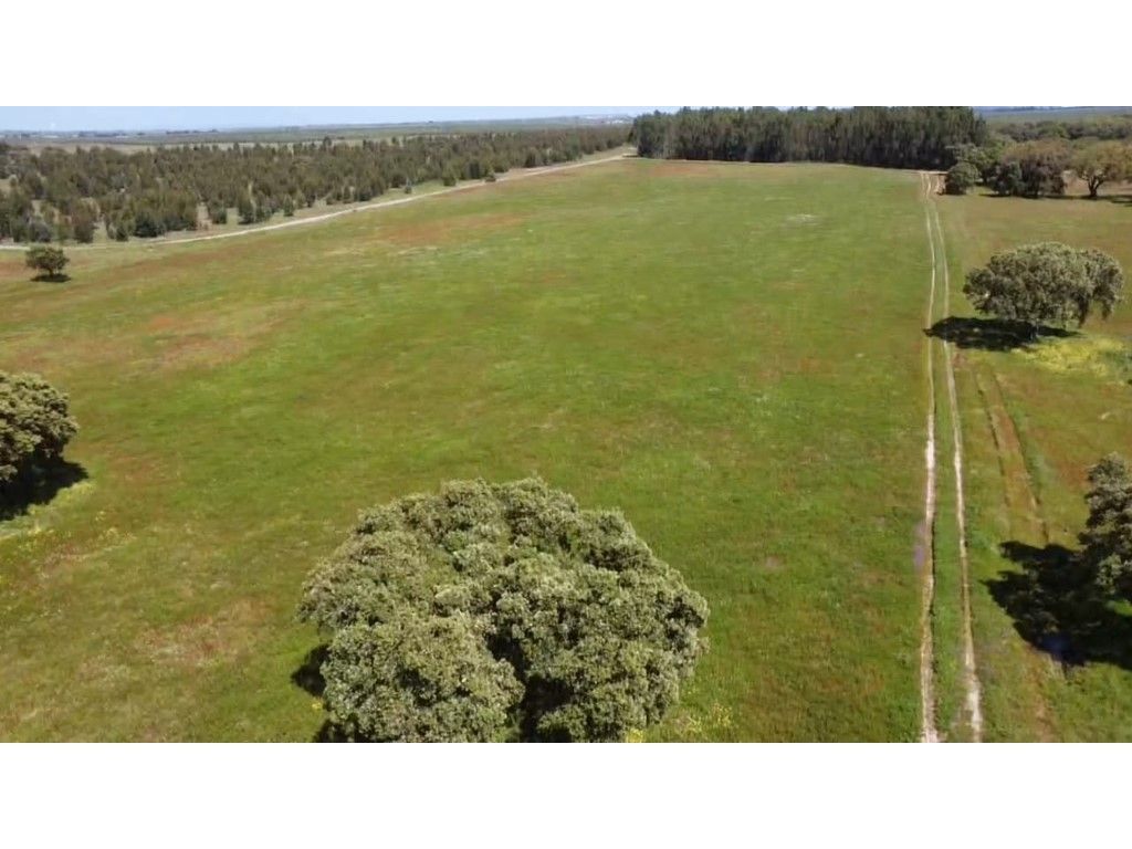 Grundstück in Ferreira do Alentejo, Portugal 224500m², Nr. 300772