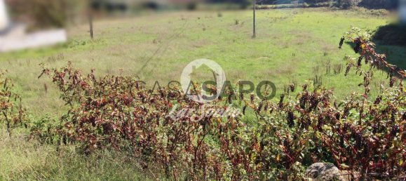 Grundstück in Barcelos, Portugal, Nr. 325992 10