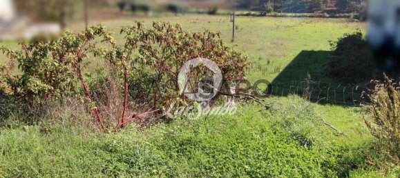 Grundstück in Barcelos, Portugal, Nr. 325992 8