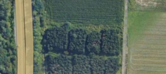 10000m² Land in Settimo Milanese, Italy No. 236842 2