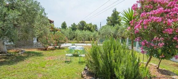 3 bedrooms Commercial property in Chalkidiki, Greece No. 2268 12