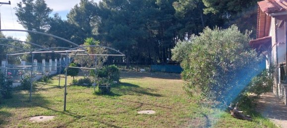 3 bedrooms Commercial property in Chalkidiki, Greece No. 2268 25